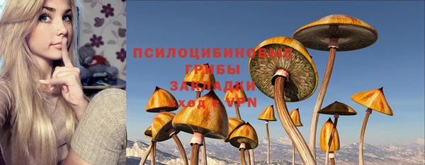 сатива Алексин